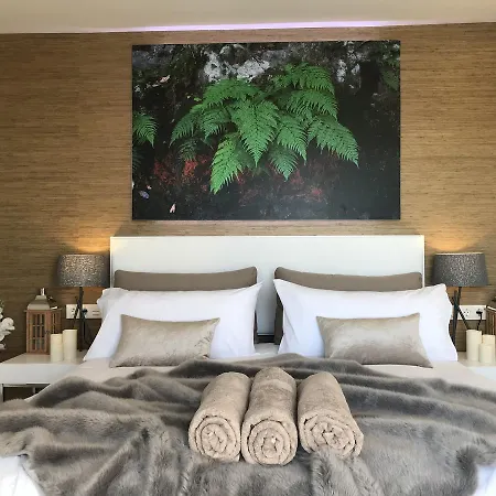 Luxury - Oasis Tucan ***** فيلة *